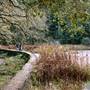 Jack London State Historic Park (SHP)