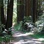 Portola Redwoods State Park (SP)