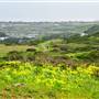 San Bruno Mountain State Park (SP)