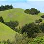 Mount Tamalpais State Park (SP)