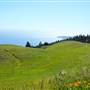 Mount Tamalpais State Park (SP)