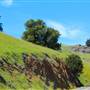 Mount Tamalpais State Park (SP)