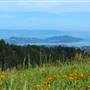 Mount Tamalpais State Park (SP)