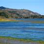 Tomales Bay State Park (SP)