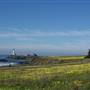 Pigeon Point Light Station State Historic Park (SHP) and Hostellng Accommodations