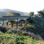 San Gregorio State Beach (SB)