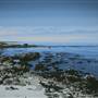 Asilomar State Beach and Conference Grounds