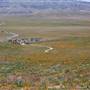 Antelope Valley California Poppy Reserve State Natural Reserve (SNR)