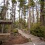 Van Damme State Park (SP) / Beach / Pygmy Forest / Fern Canyon Trail / Spring Ranch Trail