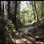 Trione-Annadel State Park (SP)