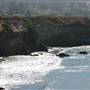 Año  Nuevo State Park (SP)