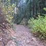 Bothe-Napa Valley State Park (SP)