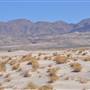 Olancha Sand Dunes - Bureau of Land Management - California Desert District - Ridgecrest Field Office - BLM - Off Highway Vehicle Area - OHV