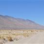 Olancha Sand Dunes - Bureau of Land Management - California Desert District - Ridgecrest Field Office - BLM - Off Highway Vehicle Area - OHV