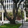 University of Southern California - USC
