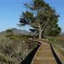 Morro Bay State Park (SP)