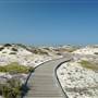 Asilomar State Beach and Conference Grounds
