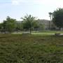California State University, Northridge - CSUN (All Buildings & Facilities)