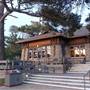 Asilomar State Beach and Conference Grounds