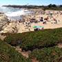 Natural Bridges State Beach (SB)