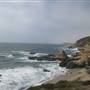 Bodega Head / Dunes (Sonoma Coast State Beach)