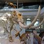 Museum of Natural History, Los Angeles