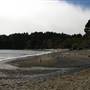Van Damme State Park (SP) / Beach / Pygmy Forest / Fern Canyon Trail / Spring Ranch Trail