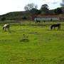 La Purisima Mission State Historic Park (SHP)