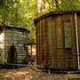 Portola Redwoods State Park (SP)