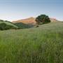 Mount Diablo State Park (SP)