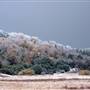 Palomar Mountain State Park (SP)