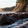 Schooner Gulch State Beach (SB) / Bowling Ball Beach