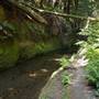 Forest of Nisene Marks State Park (SP), The