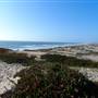 Marina State Beach (SB)