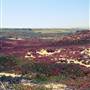 Fort Ord National Monument