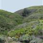 Harmony Headlands State Park (SP)