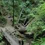 Russian Gulch State Park (SP) / Russian Gulch Bridge - Highway 1