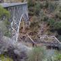 Pulga Bridge