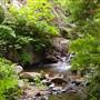 Garrapata State Park (SP)