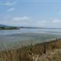 Arcata Marsh and Wildlife Sanctuary