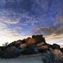 Joshua Tree National Park - NPS