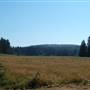 Redwood National & State Parks