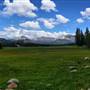Tuolumne Meadows