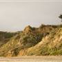 Manresa State Beach (SB)