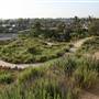 Bolsa Chica Ecological Reserve - California Department of Fish & Wildlife (CDFW)