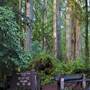Jedediah Smith Redwoods State Park (SP) within the Redwood National and State Parks