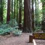 John B. Dewitt Redwoods State National Reserve (SNR)