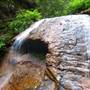 Big Basin Redwoods State Park (SP)