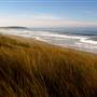 Sonoma Coast State Park (SP)