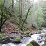 Sugarloaf Ridge State Park (SP)
